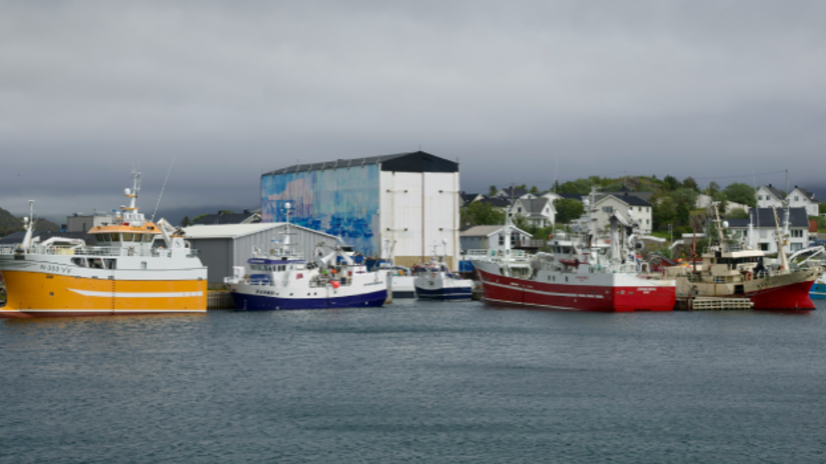 Fiskeri og havbruk. Bilde: Stock Birken on Unsplash