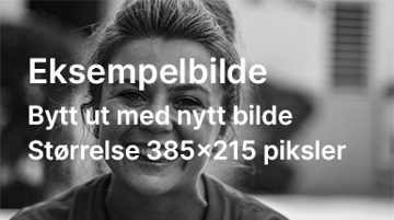 Eksempelbilde 3