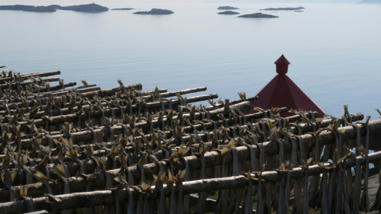 Klippfisk på gjeller 